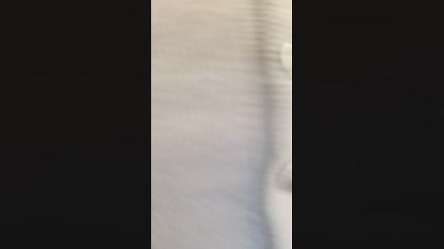 DahliaSegreta  29-10-2022